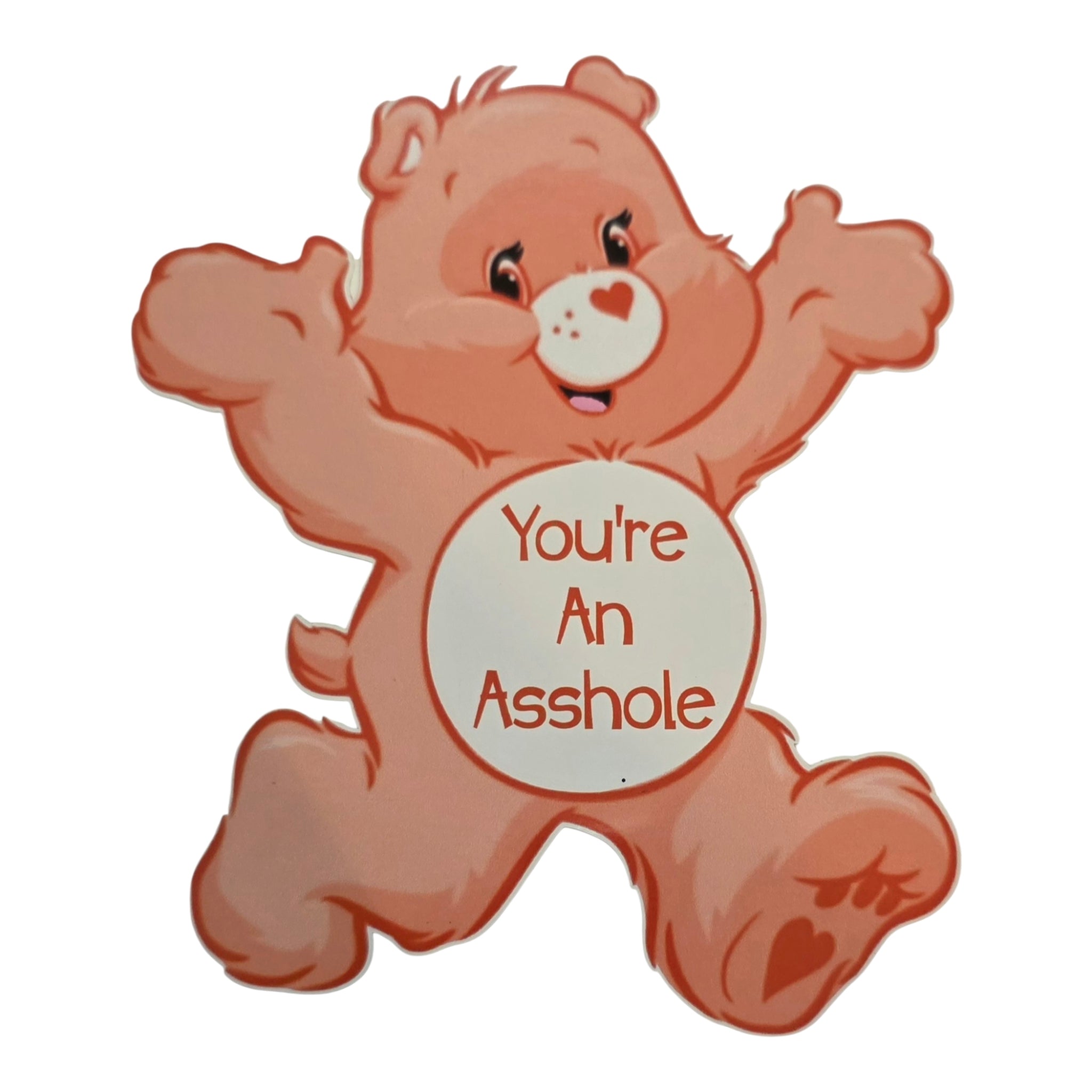Care Bear #2 Your An Asshole!