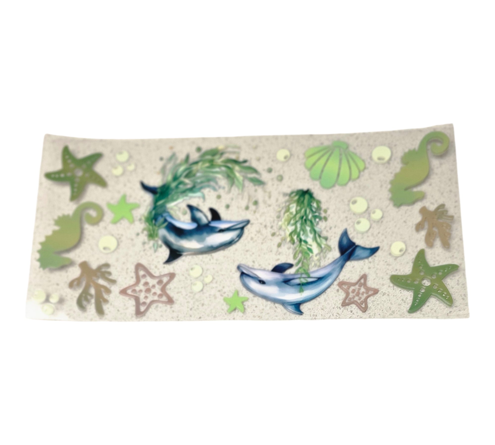Dolphins and Shells
